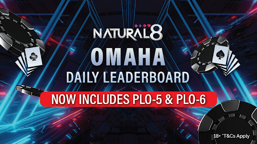 PLO/PLO5/PLO6 $80,000 Daily Leaderboard